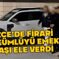 Genel