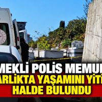 Diğer