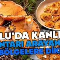 Genel