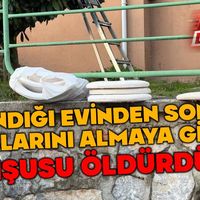 Genel