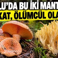 Genel