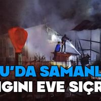 Genel