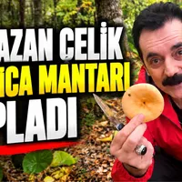 Genel