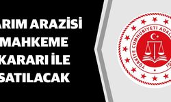 TARIM ARAZİSİ MAHKEME KARARI İLE SATILACAK