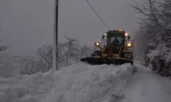 Karadeniz'de 759 yerleşim yerinin ulaşımına kar engeli