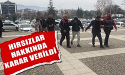 HIRSIZLAR HAKKINDA KARAR VERİLDİ