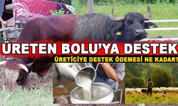 ÜRETİCİYE DESTEK ÖDEMESİ NE KADAR?