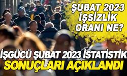 İŞGÜCÜ ŞUBAT 2023 İSTATİSTİK SONUÇLARI AÇIKLANDI