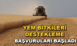 YEM BİTKİLERİ DESTEKLEME BAŞVURULARI BAŞLADI