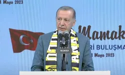 Erdoğan: Biz sandığı boş bırakırsak biri gelir orayı doldurur