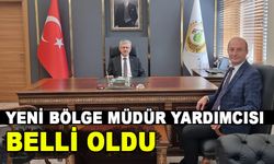 YENİ BÖLGE MÜDÜR YARDIMCISI BELLİ OLDU