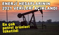 ENERJİ HESAPLARININ 2021 VERİLERİ AÇIKLANDI