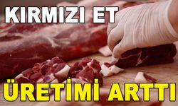 KIRMIZI ET ÜRETİMİ ARTTI