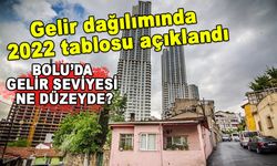 GELİR DAĞILIMINDA 2022 TABLOSU AÇIKLANDI