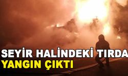 SEYİR HALİNDEKİ TIRDA YANGIN ÇIKTI