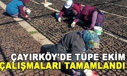 ÇAYIRKÖY'DE TÜPE EKİM ÇALIŞMALARI TAMAMLANDI