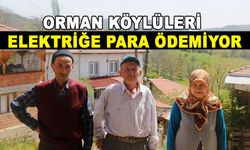 ORMAN KÖYLÜLERİ ELEKTRİĞE PARA ÖDEMİYOR