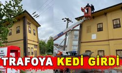 TRAFOYA KEDİ GİRDİ