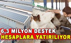 6,3 MİLYON DESTEK HESAPLARA YATIRILIYOR