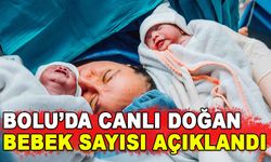 BOLU’DA CANLI DOĞAN BEBEK SAYISI AÇIKLANDI