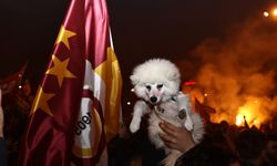 Süper Lig'de Şampiyon Galatasaray