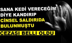 CİNSEL SALDIRI TEŞEBBÜSÜ’NÜN CEZASI BELLİ OLDU