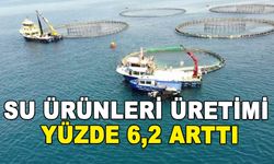 SU ÜRÜNLERİ ÜRETİMİ YÜZDE 6,2 ARTTI