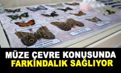 MÜZE ÇEVRE KONUSUNDA FARKINDALIK SAĞLIYOR