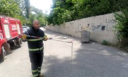 Karabük'te okulun bahçesine giren yılan itfaiye ekiplerince yakalandı