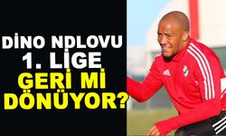 DİNO NDLOVU 1. LİGE GERİ Mİ DÖNÜYOR?