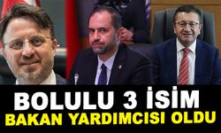 BOLULU 3 İSİM BAKAN YARDIMCISI OLDU