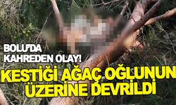 KESTİĞİ AĞAÇ OĞLUNUN ÜZERİNE DEVRİLDİ