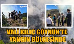 VALİ KILIÇ GÖYNÜK'TE YANGIN BÖLGESİNDE