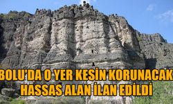 BOLU'DA O YER, KESİN KORUNACAK HASSAS ALAN İLAN EDİLDİ