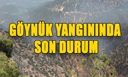 GÖYNÜK YANGININDA SON DURUM