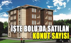 İŞTE BOLU’DA SATILAN KONUT SAYISI