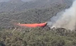 Muğla Fethiye'de orman yangını