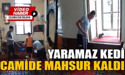 YARAMAZ KEDİ CAMİDE MAHSUR KALDI