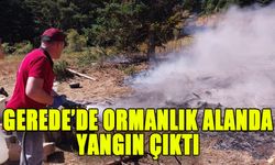 GEREDE’DE ORMANLIK ALANDA YANGIN ÇIKTI