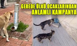 GEREDE ÜLKÜ OCAKLARINDAN ANLAMLI KAMPANYA