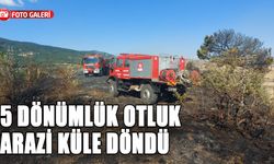 5 DÖNÜMLÜK OTLUK ARAZİ KÜLE DÖNDÜ