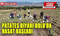 PATATES DİYARI BOLU’DA HASAT BAŞLADI