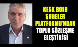 KESK BOLU ŞUBELER PLATFORMU’NDAN TOPLU SÖZLEŞME ELEŞTİRİSİ