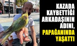 KAZADA KAYBETTİĞİ ARKADAŞININ ADINI, PAPAĞANINDA YAŞATTI