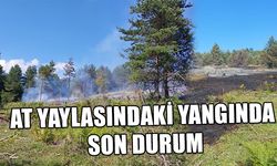 AT YAYLASINDAKİ YANGINDA SON DURUM