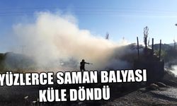 YÜZLERCE SAMAN BALYASI KÜLE DÖNDÜ