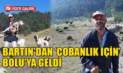 BARTIN'DAN ÇOBANLIK İÇİN BOLU'YA GELDİ