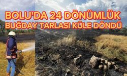 BOLU'DA 24 DÖNÜMLÜK BUĞDAY TARLASI KÜLE DÖNDÜ