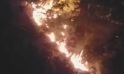 Kastamonu'da korkutan orman yangını