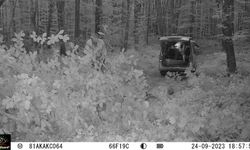 Foto kapan orman kaçakçılarını görüntüledi